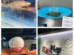 -山东省科技馆(新馆)