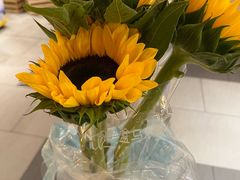 -五月花生活广场