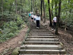 -惠山国家森林公园