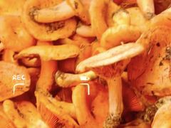 -佳缘野生菌食府