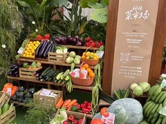 -蘑界·野生菌火锅(深业上城店)