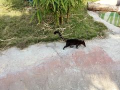 -泉州海丝野生动物世界