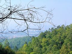 -火炉山森林公园