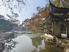 -杭州植物园