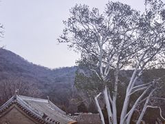 -潭柘寺景区