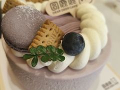 -圆鹿鹿·鲜果半糖蛋糕(常平店)