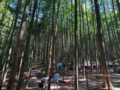 -山王坪喀斯特国家生态公园