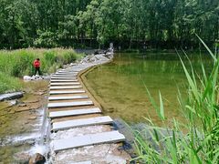 -白河湾生态旅游一条川