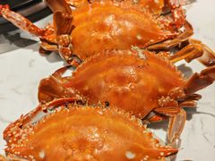 -半岛听涛蒸汽海鲜自助(K11店)