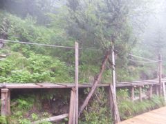 -黄龙山原始森林景区