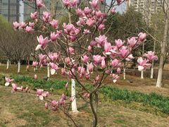 -白塘生态植物园