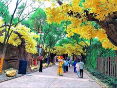 -横店影视城梦幻谷园区