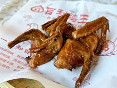 -百利鸽王(紫薇路店)