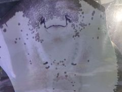 -顺德南宏海立方海洋公园