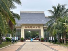 -临高角
