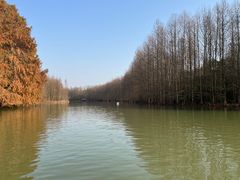 -上海海湾国家森林公园