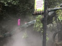 -古龙峡云天玻霸