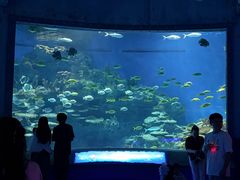 -海合安武汉极地海洋公园