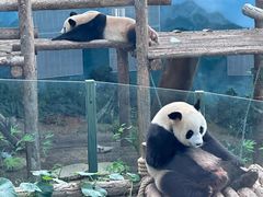 -大连森林动物园