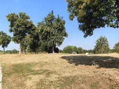 -洪湖湿地生态园