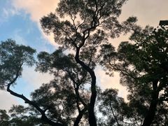 -广州市白云山风景名胜区