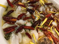 老坛子酸菜鱼-太二酸菜鱼(正大广场店)
