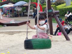 -成飞公园