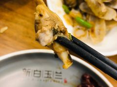 -新名仕新白玉兰餐厅