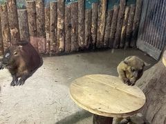 -大连圣亚海洋世界