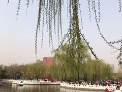 -丰台花园