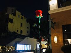-Madeleine玛德琳(永平里店)