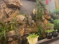 -蔼若春.传承三十年云南菜(金碧公园店)