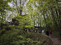 -五女峰国家森林公园