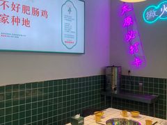 -晓彭肥肠鸡(茂业天地店)