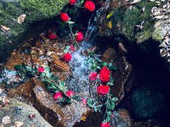 -五女峰国家森林公园