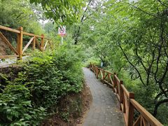 -大岭沟猕猴桃谷风景区
