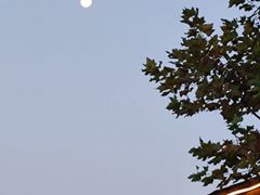 -东海森林温泉度假酒店