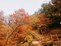 -慕田峪长城