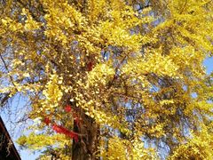 -金堂县云顶石城风景区