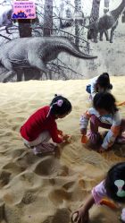 -恐龙探索乐园(磁器口店)