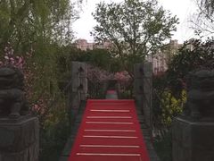 -南汇桃花村