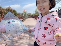 -武汉紫薇都市田园