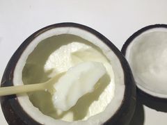 -志龙皇冠吃货椰子铺