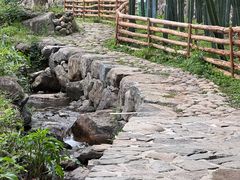 -MOJ coffee(瓯海泽雅水碓坑店)