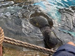 -海合安成都极地海洋公园