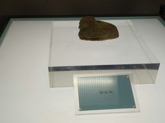 -安阳博物馆