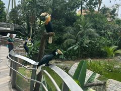 -新加坡飞禽公园