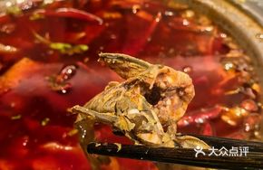 Yellow Catfish Hot Pot