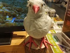 -Olé精品超市(北京合生汇店)