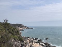 -广东惠东海龟国家级自然保护区